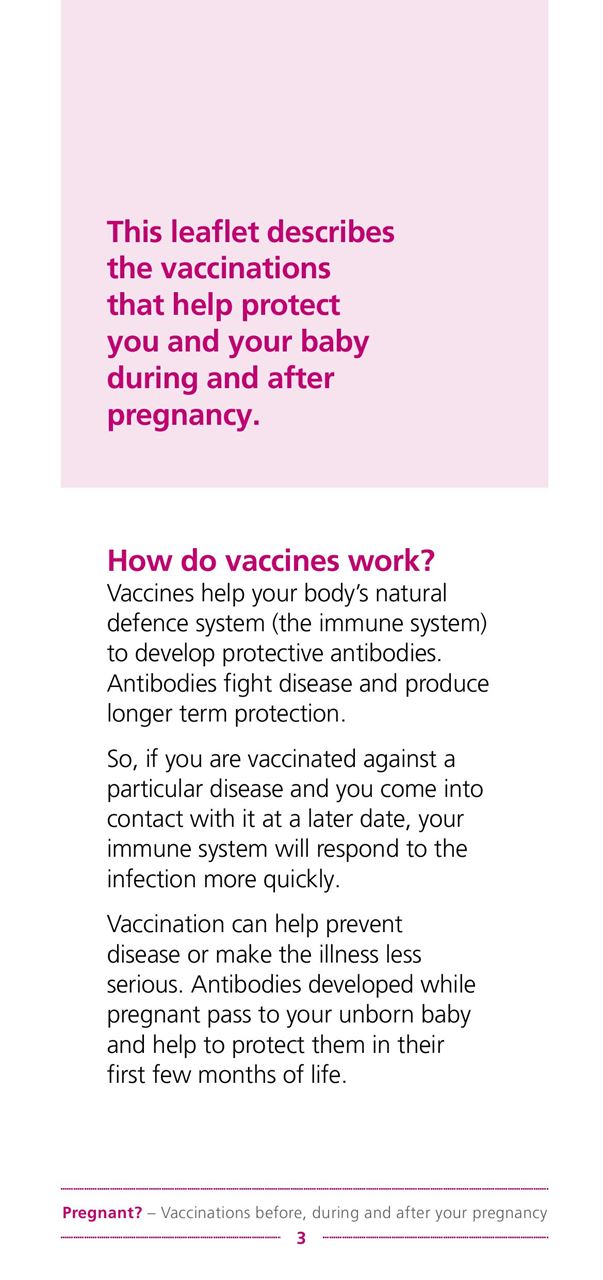 Pregnanty immunisations p2