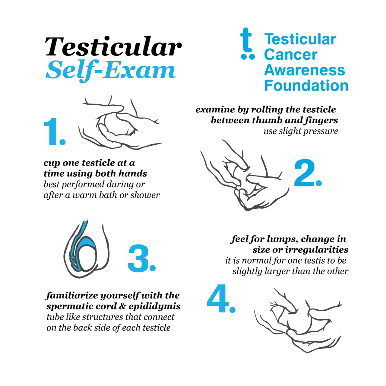 Testicular Self Examination